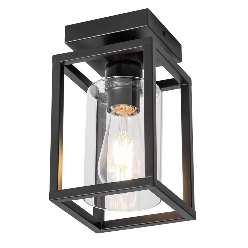 Mayful Flush Mount Ceiling Light Fixture with Clear Glass Shade,